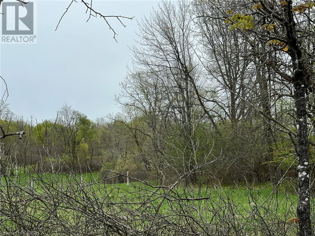 Listing 40414931 - Large Photo # 7