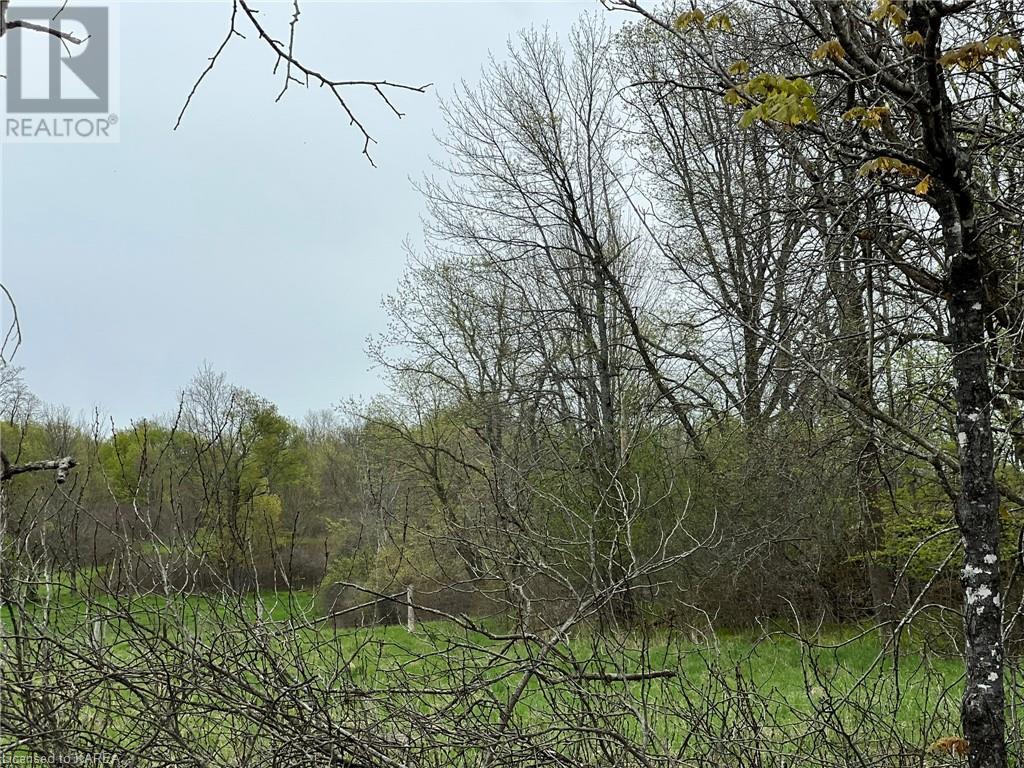 Listing 40414931 - Large Photo # 6