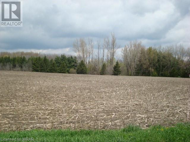 Listing 40415243 - Large Photo # 16