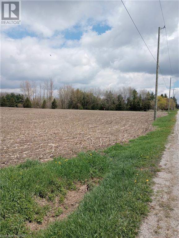 Listing 40415243 - Large Photo # 17