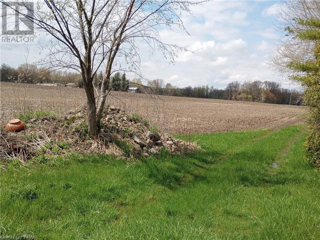 Listing 40415328 - Large Photo # 14