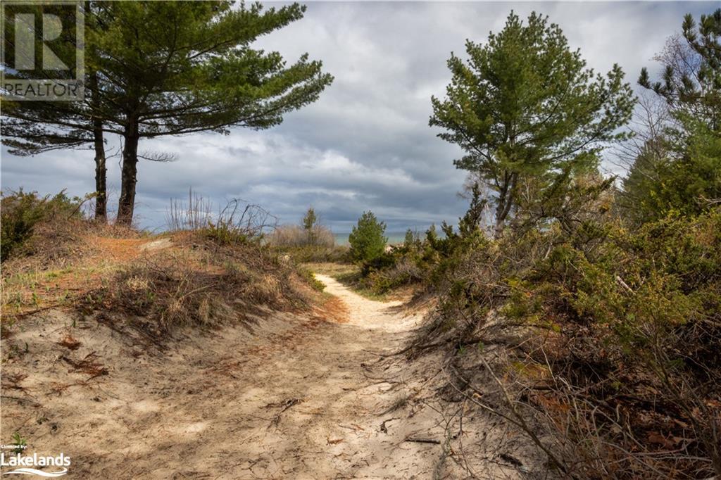 Listing 40416002 - Large Photo # 32