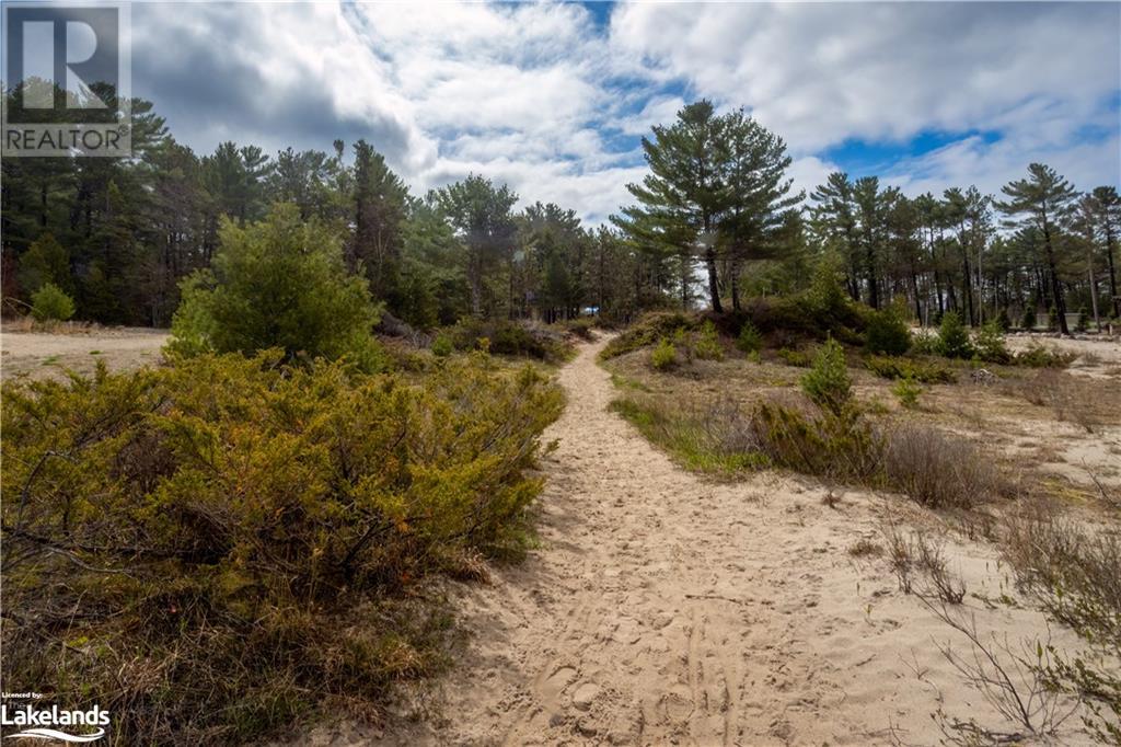 Listing 40416002 - Large Photo # 35