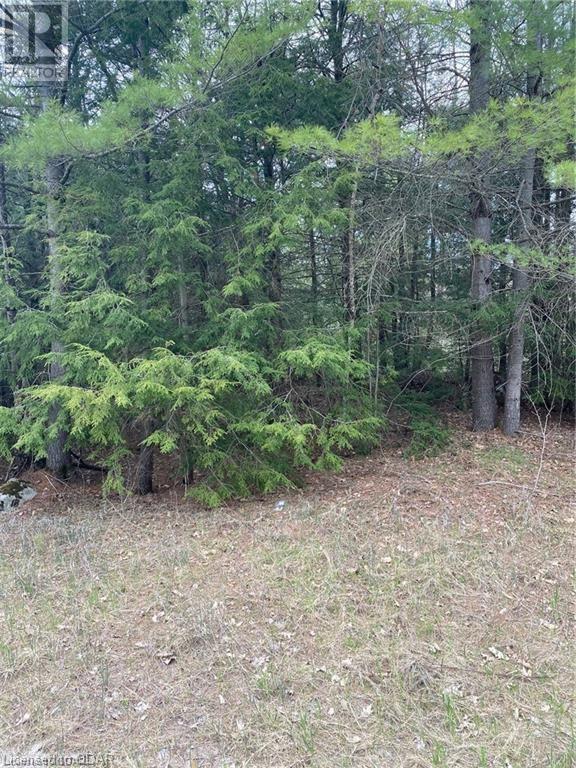 Listing 40416630 - Large Photo # 6