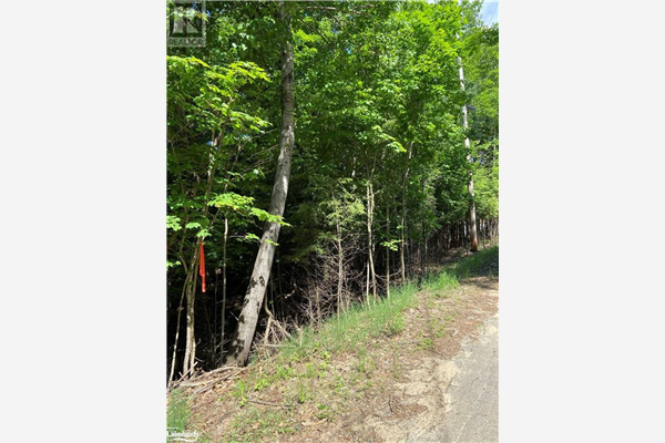 0 KEEFER Street, Haliburton