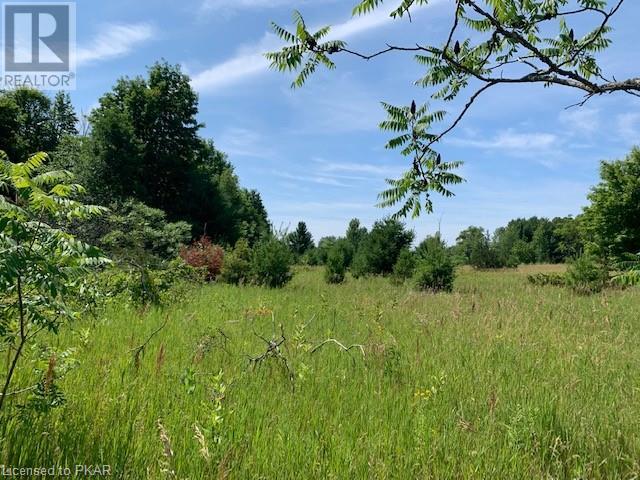 Listing 40417936 - Large Photo # 3