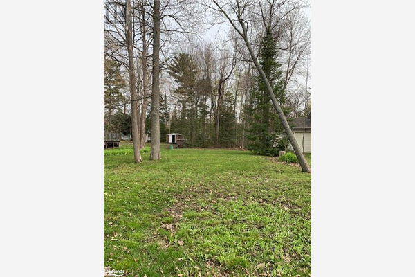 53 MOORE Avenue, Tiny