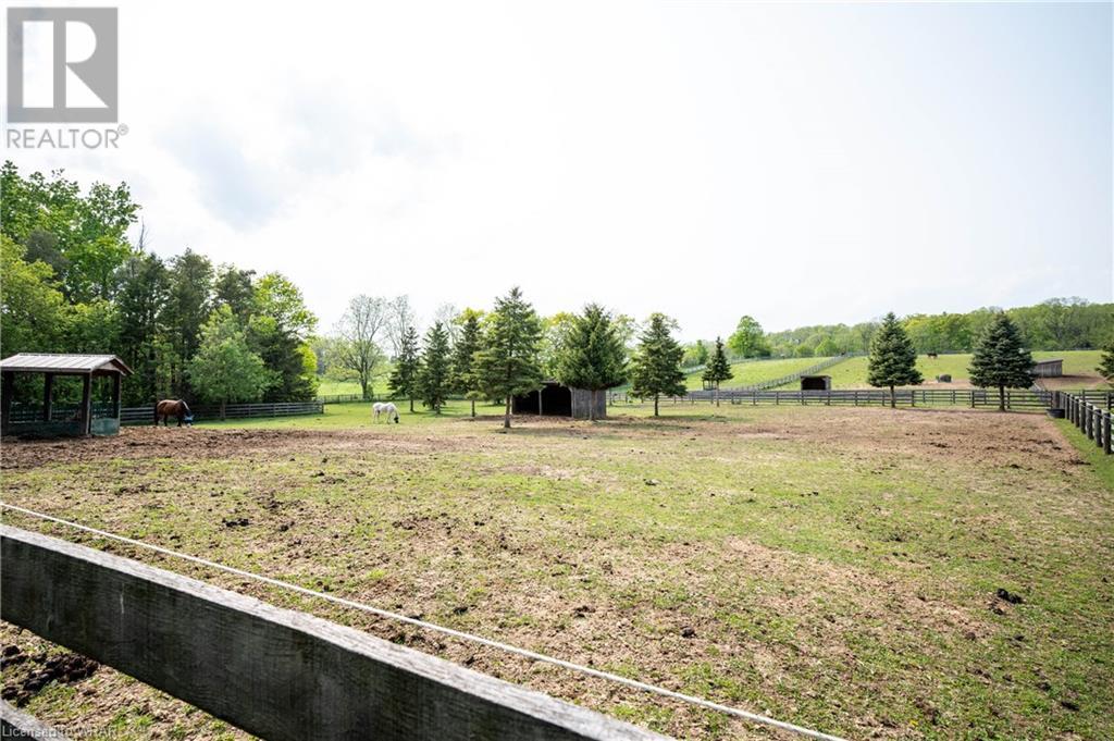 Listing 40418960 - Large Photo # 43