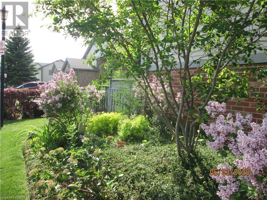 Listing 40419035 - Large Photo # 42