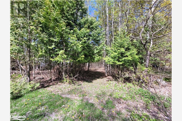 504 SENECA Crescent, Tiny