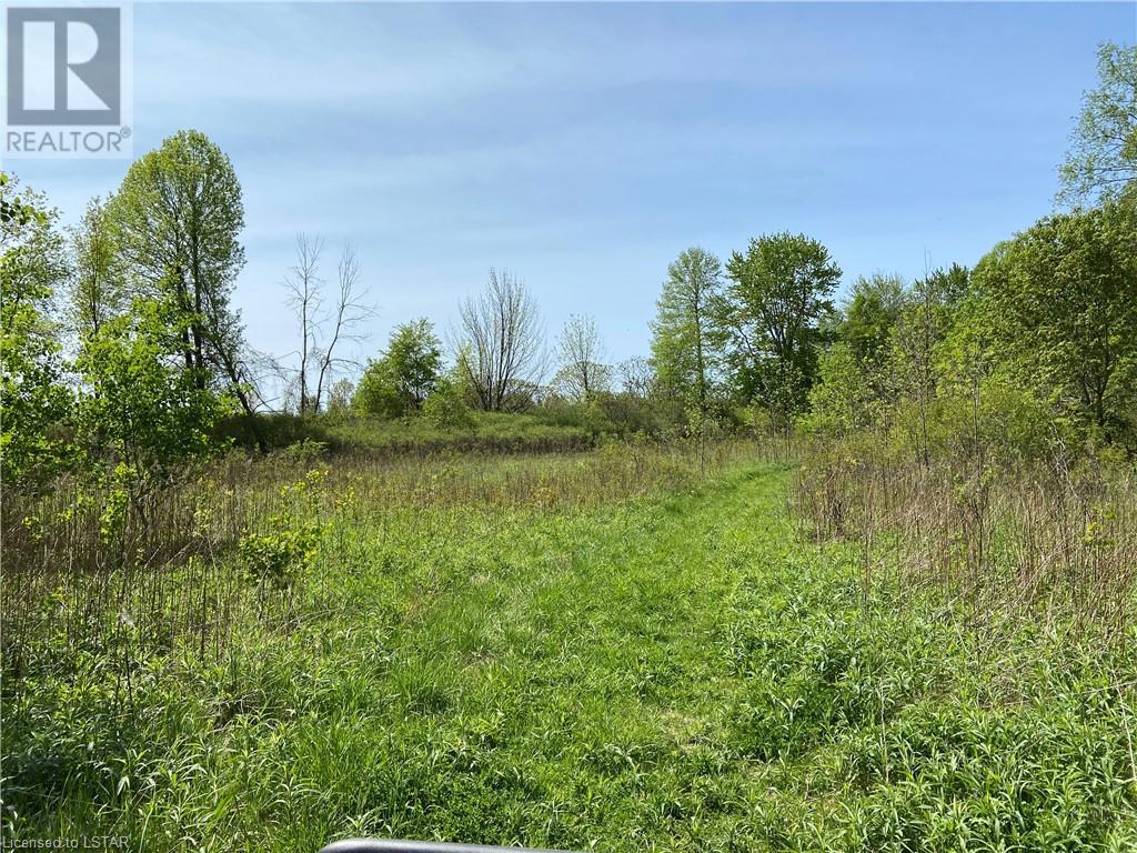 Listing 40419853 - Large Photo # 4