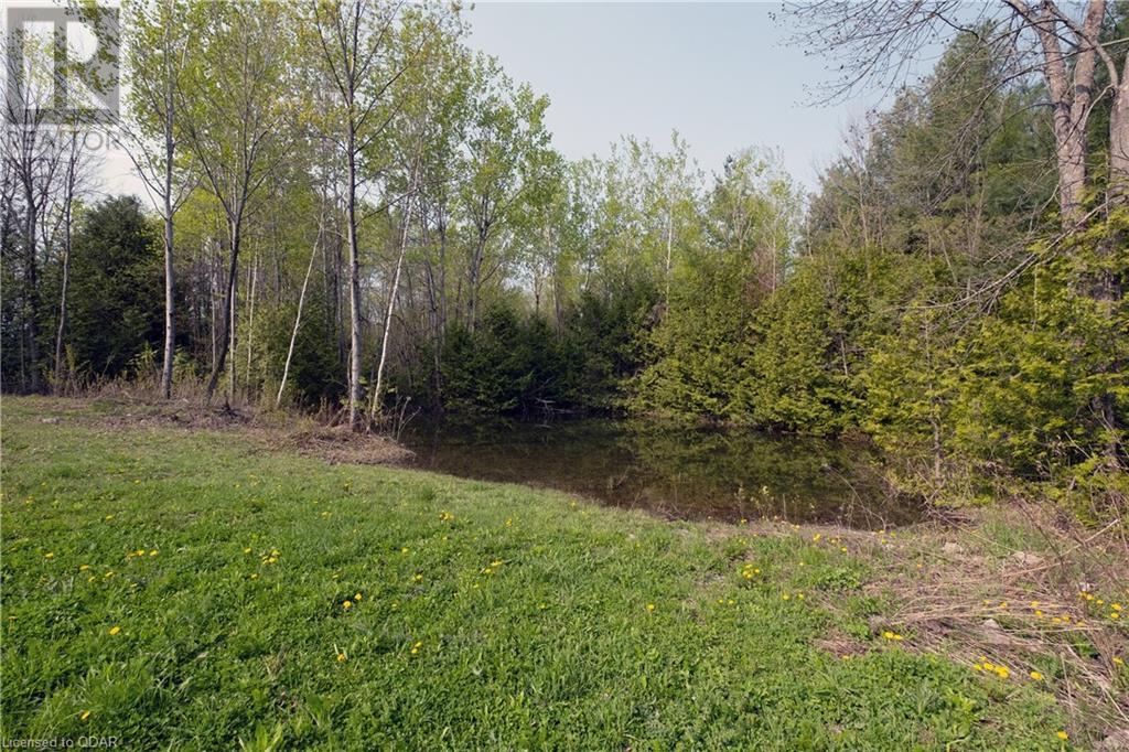 Listing 40420516 - Large Photo # 42