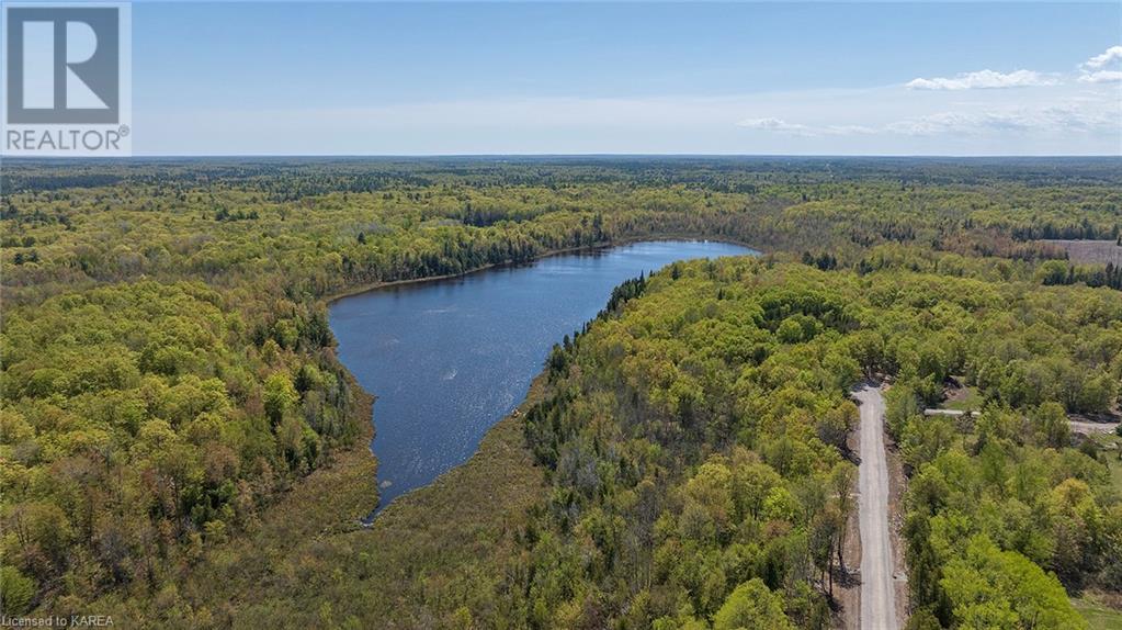 Listing 40421632 - Large Photo # 3