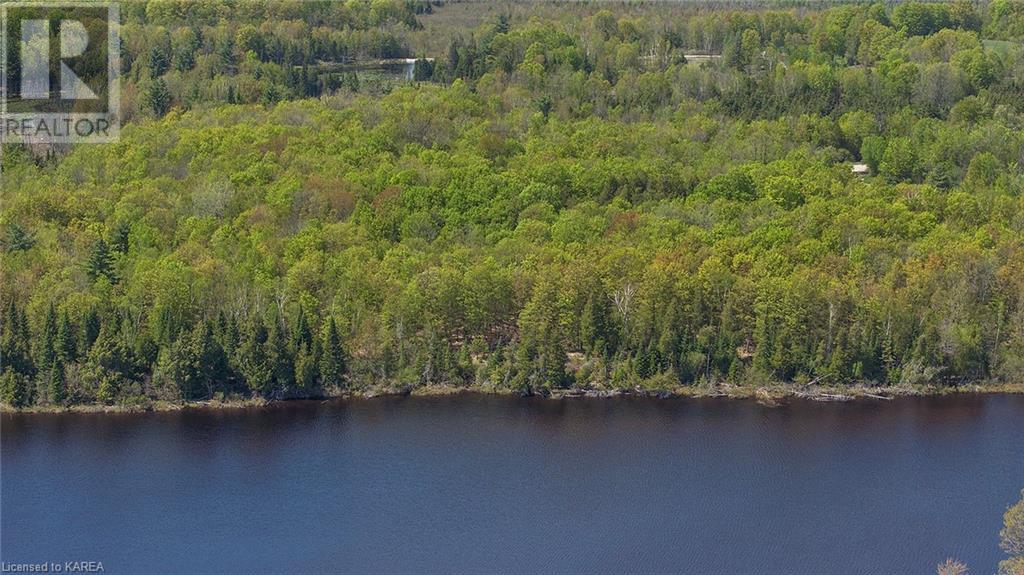 Listing 40421632 - Large Photo # 9