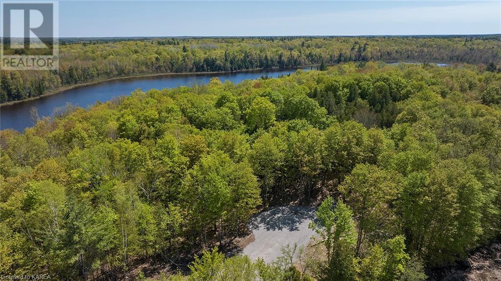 Listing 40421632 - Large Photo # 12