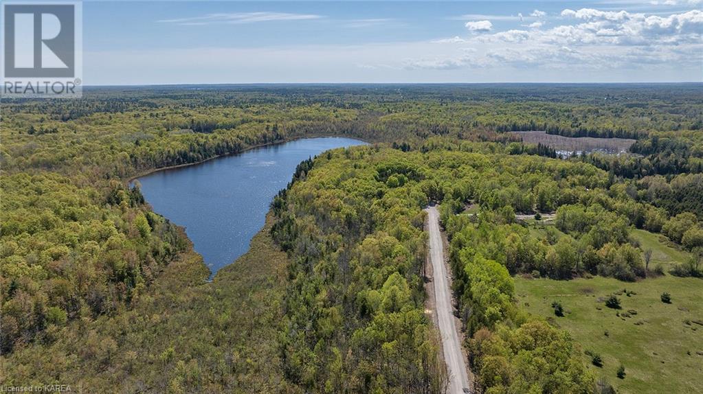 Listing 40421632 - Large Photo # 1