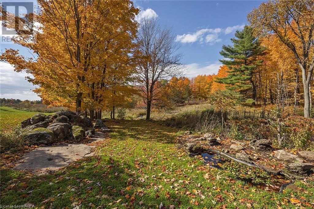 Listing 40421773 - Large Photo # 47