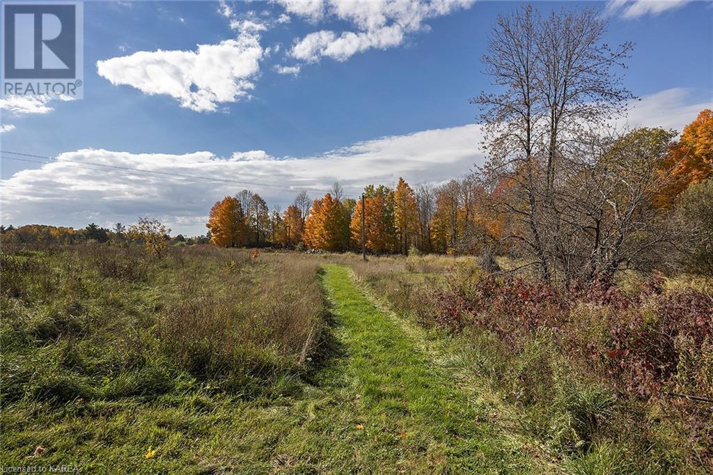 Listing 40421773 - Large Photo # 48