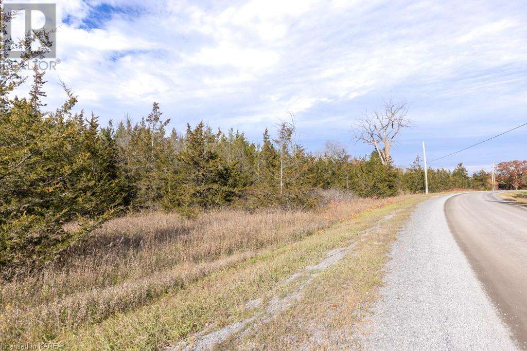 Listing 40421793 - Large Photo # 9