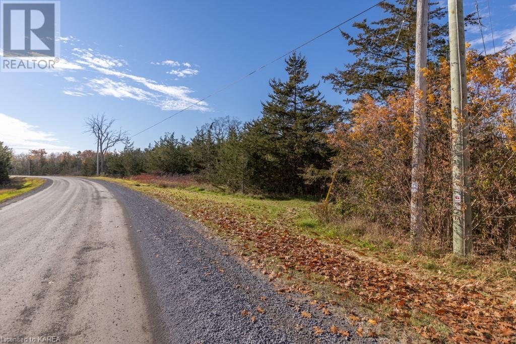 Listing 40421793 - Large Photo # 10