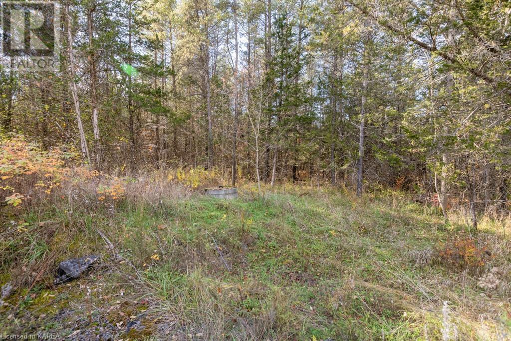 Listing 40421793 - Large Photo # 8