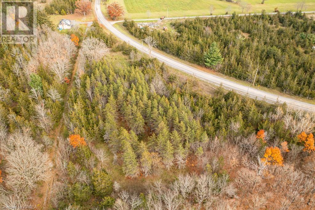 Listing 40421793 - Large Photo # 3