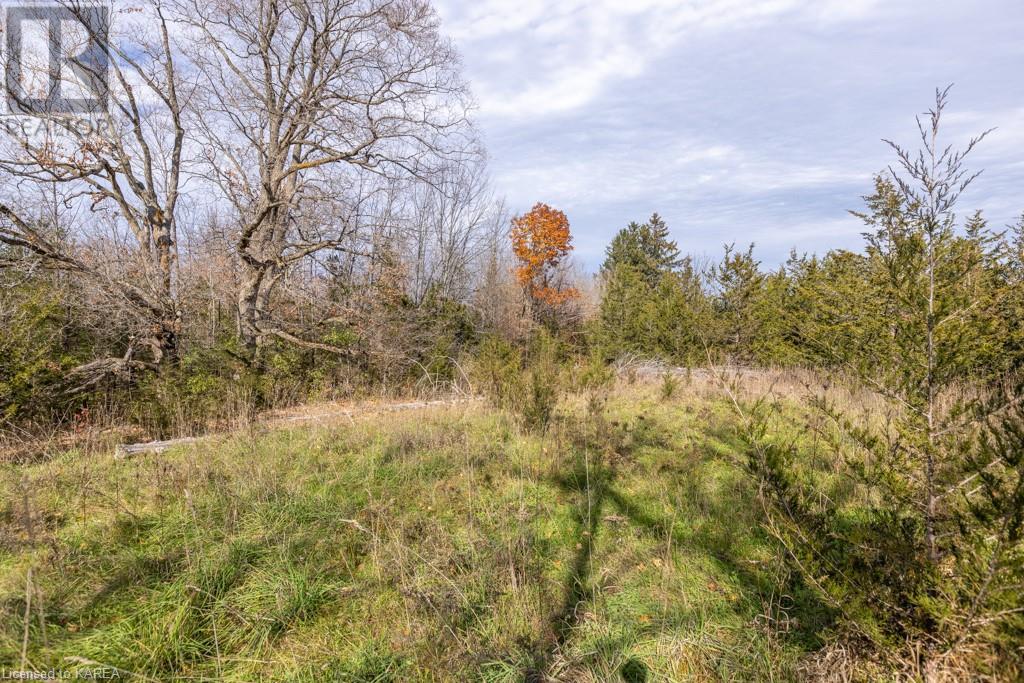 Listing 40421793 - Large Photo # 7