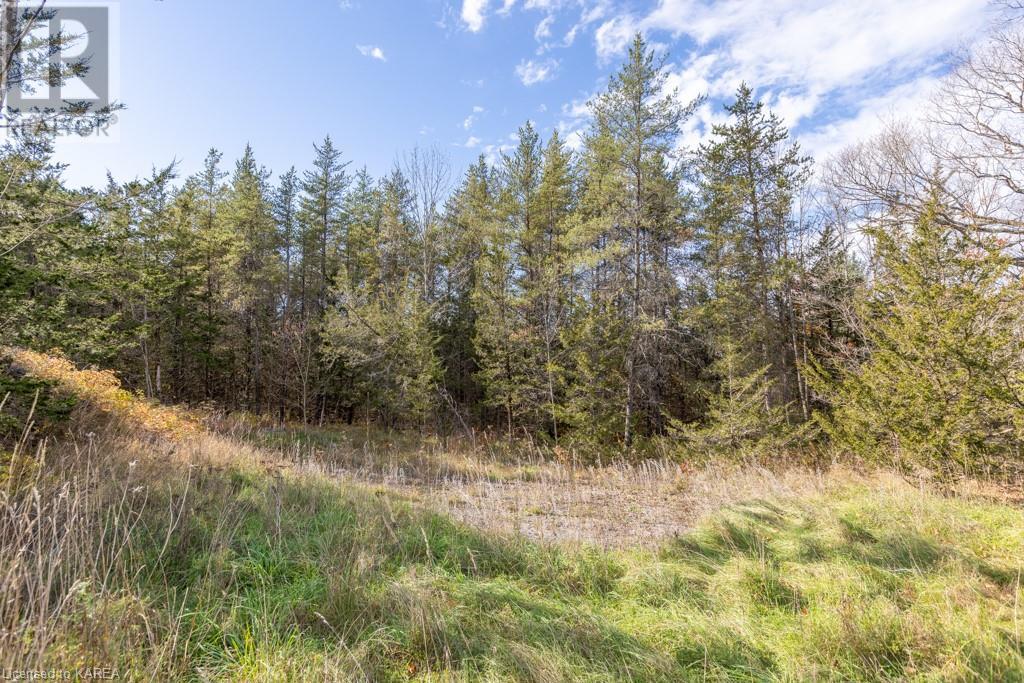 Listing 40421793 - Large Photo # 6