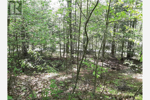 CON 5 PT LOT 1 BRIDGEWATER Road, Tweed