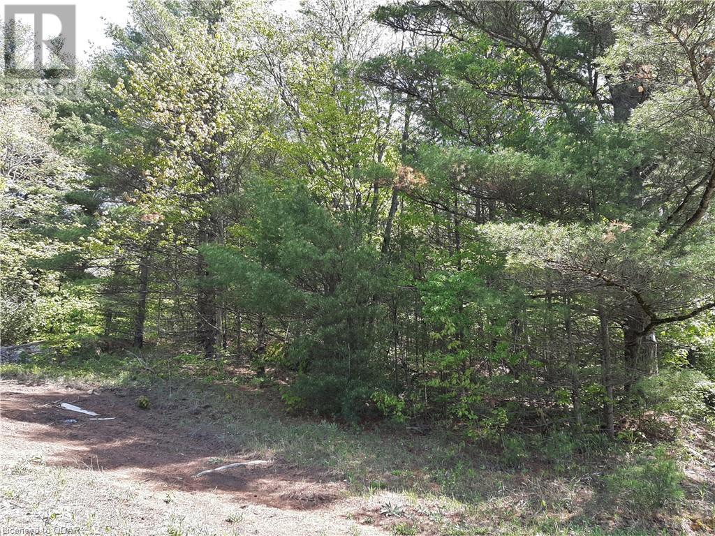 Listing 40423240 - Large Photo # 3