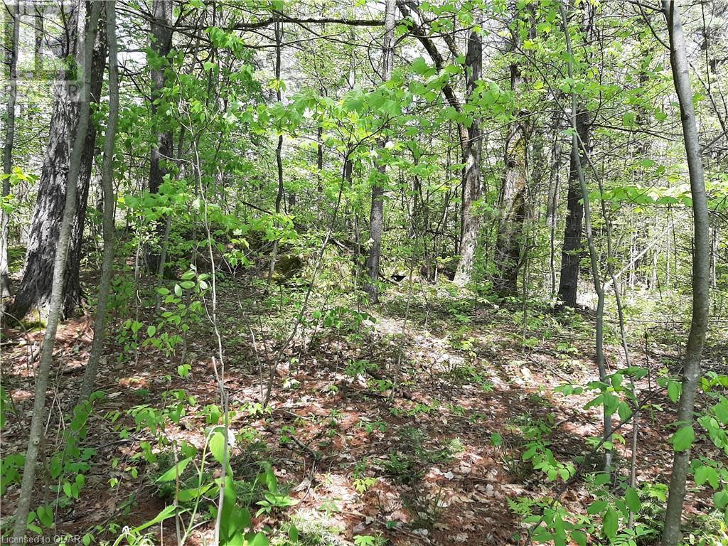 Listing 40423240 - Large Photo # 7
