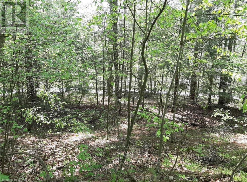 Listing 40423240 - Large Photo # 1