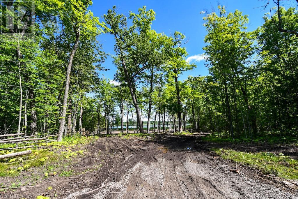 Listing 40423651 - Large Photo # 16
