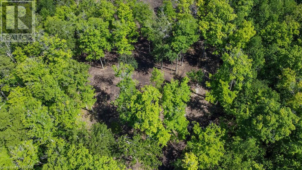 Listing 40423651 - Large Photo # 7
