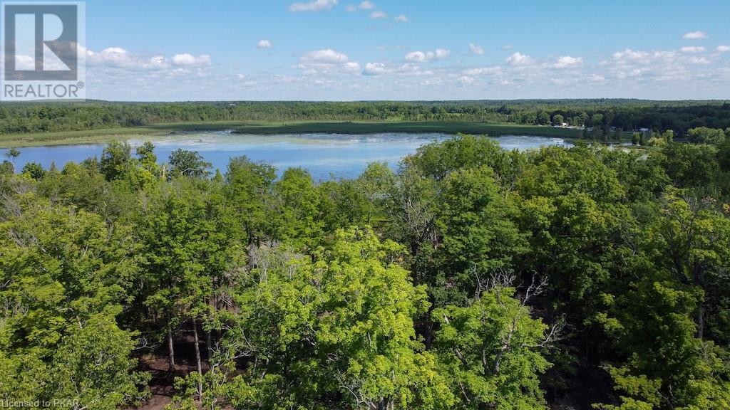 Listing 40423651 - Large Photo # 11