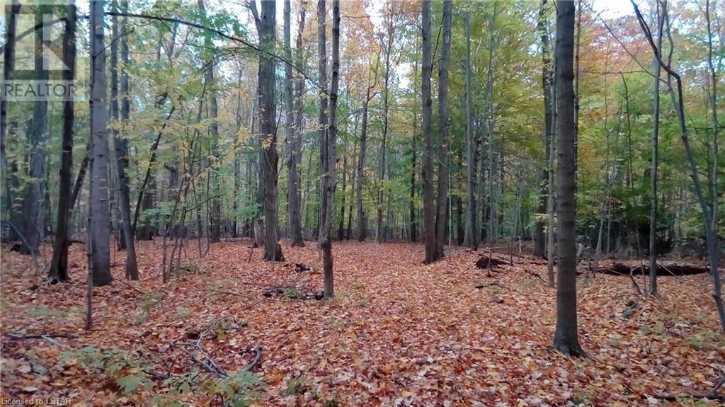 Listing 40424200 - Large Photo # 48