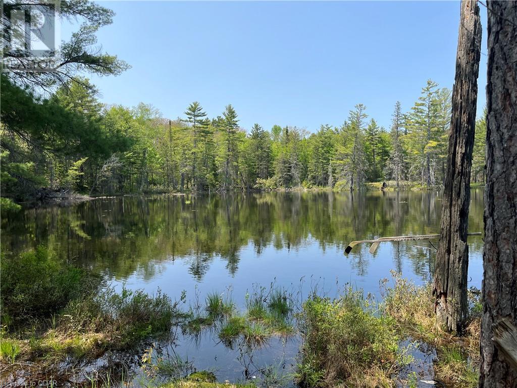 Listing 40424320 - Large Photo # 3