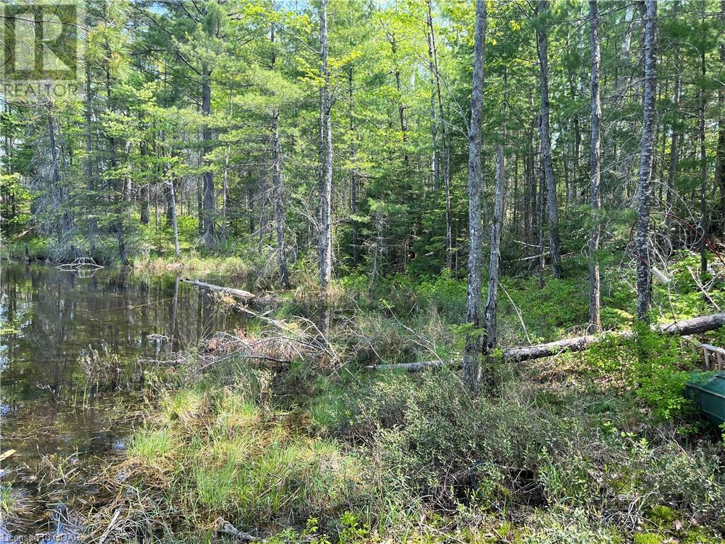 Listing 40424320 - Large Photo # 4