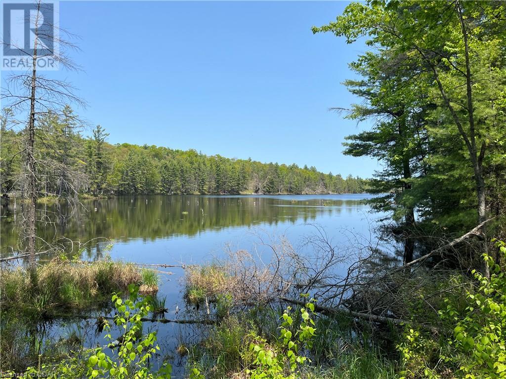Listing 40424320 - Large Photo # 1