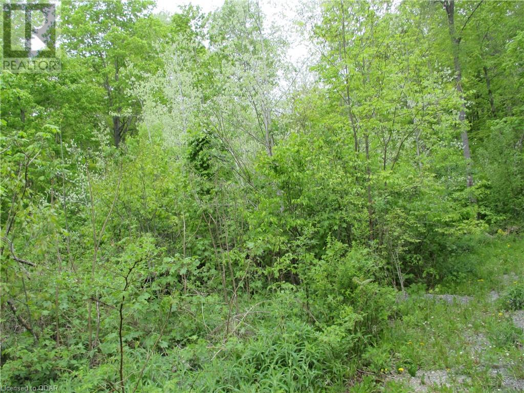 Listing 40424586 - Large Photo # 6