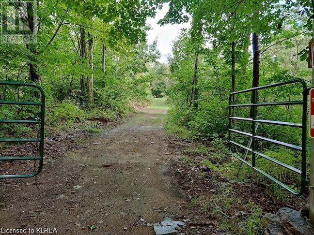 Listing 40425398 - Large Photo # 1
