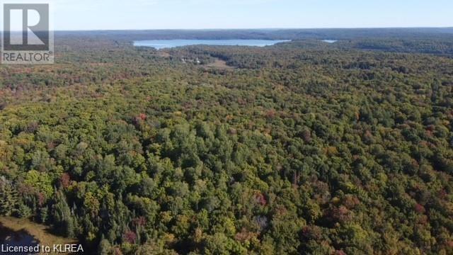 Listing 40425398 - Large Photo # 7