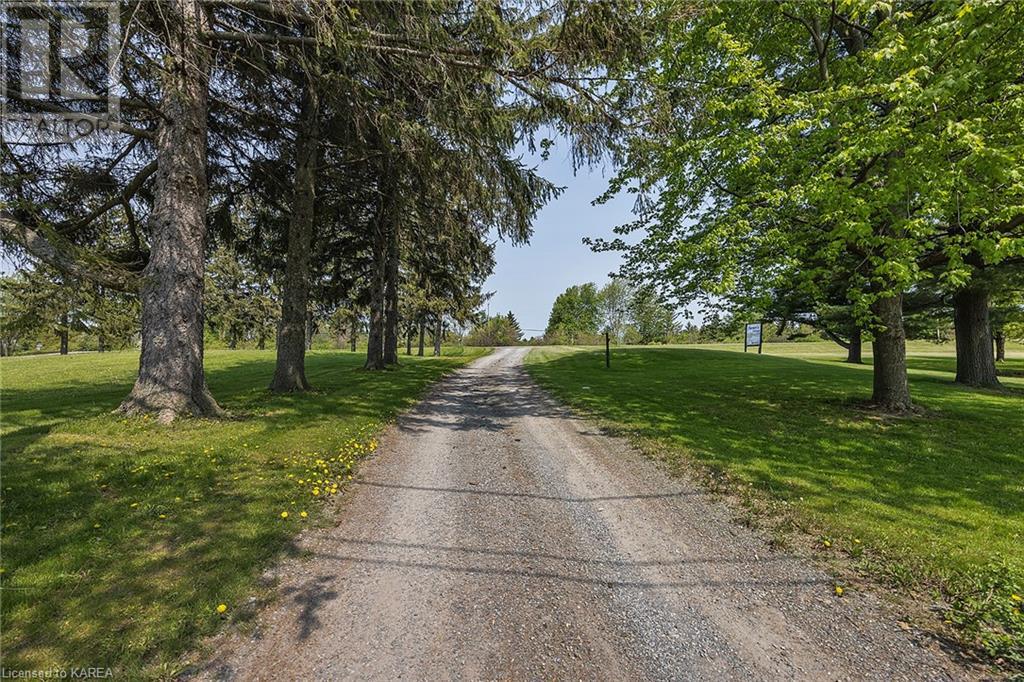 Listing 40425508 - Large Photo # 34