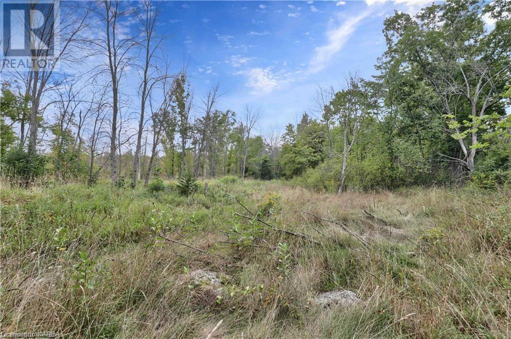 Listing 40425958 - Large Photo # 4
