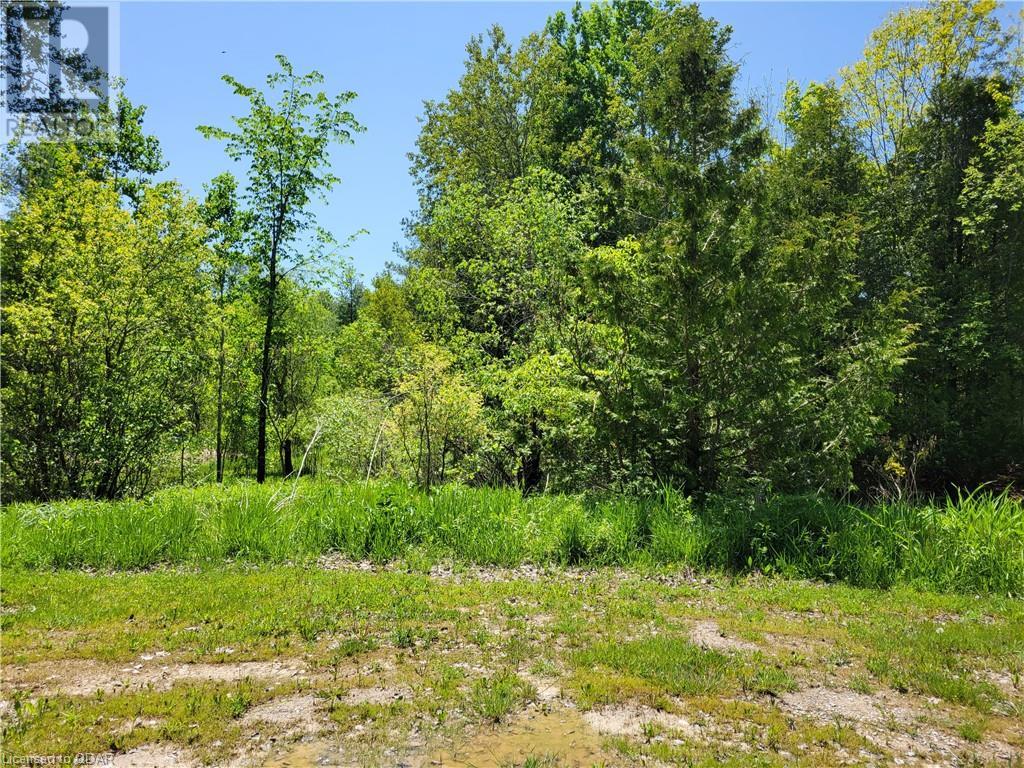 Listing 40425990 - Large Photo # 2