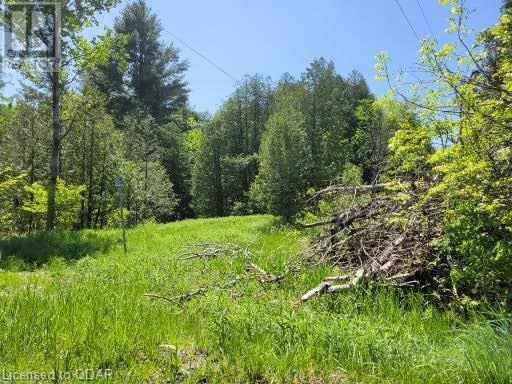 Listing 40425990 - Large Photo # 4