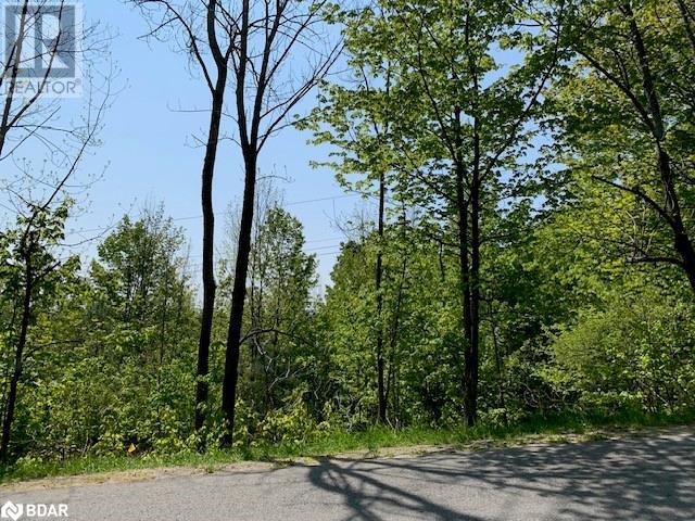 Listing 40426920 - Large Photo # 2