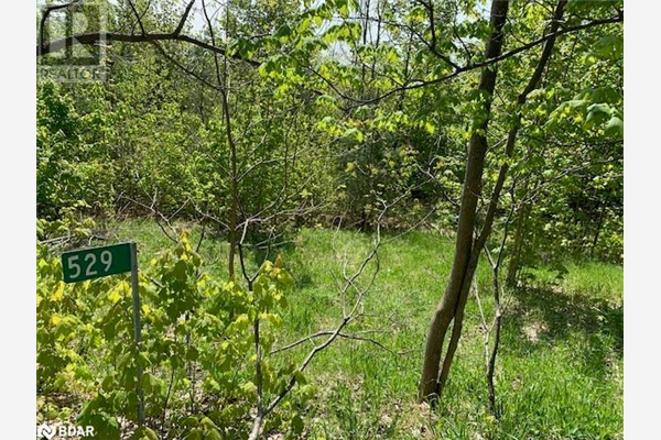 529 MOUNT ST LOUIS Road W, Oro-Medonte