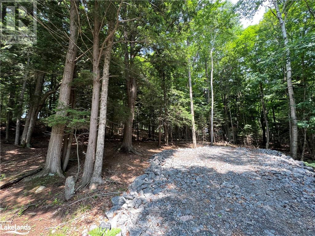 LOT 3 DOME Street