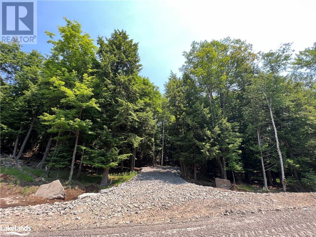 LOT 3 DOME Street